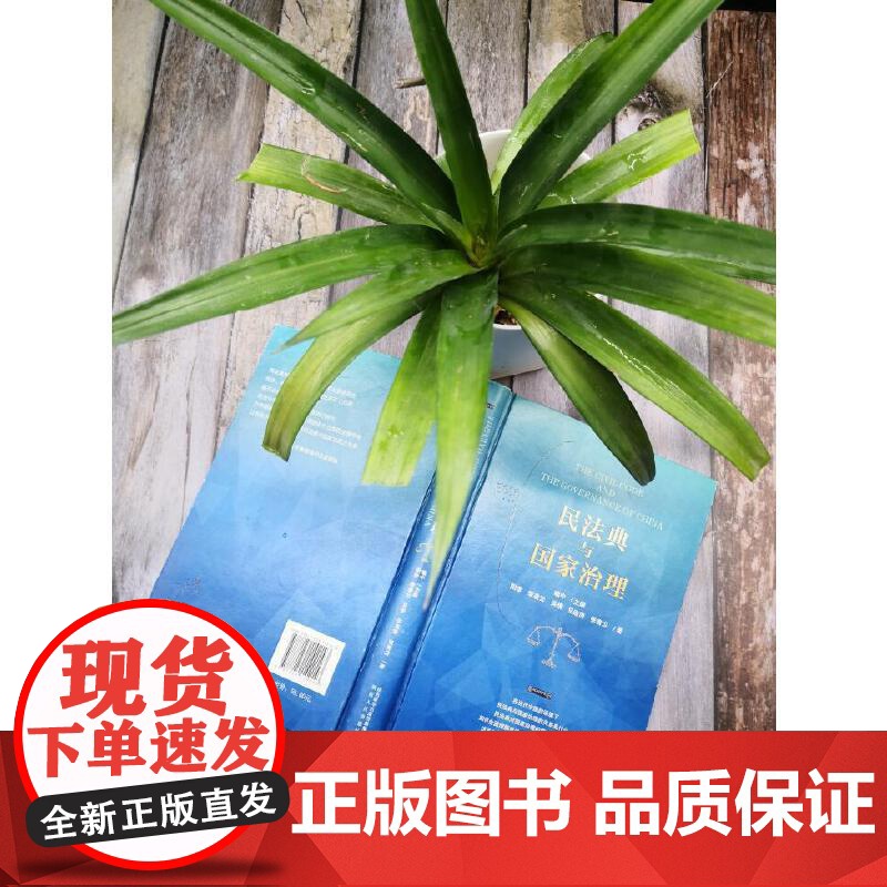 民法典与国家治理高清大图