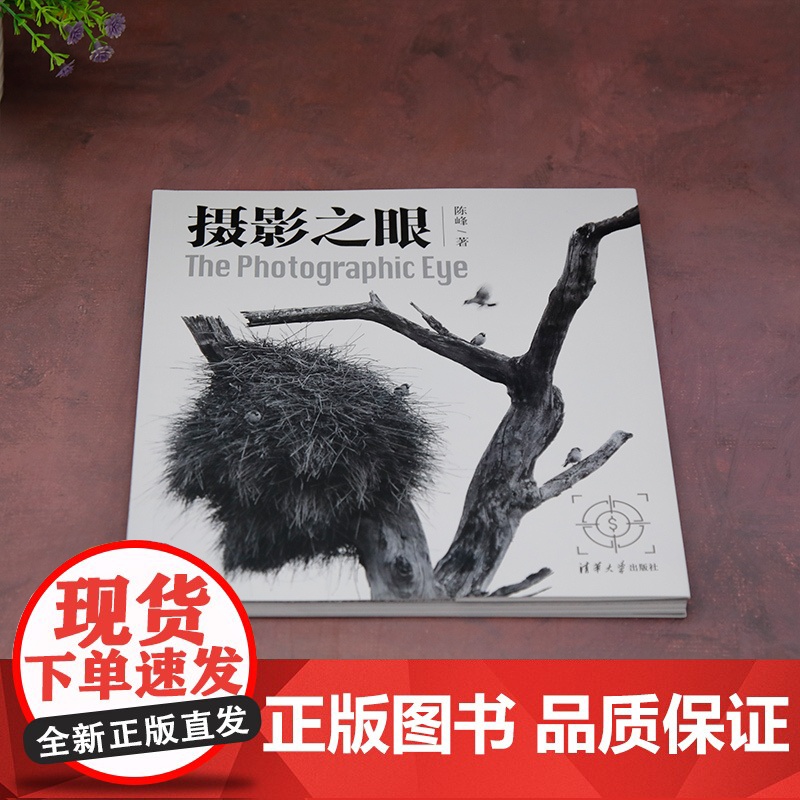 摄影之眼 构图有术 摄影有法 构图法册全解密 5年打磨:全球摄影大赛金奖摄影师力作 现代艺术摄影理论正版书清华大学出版社高清大图