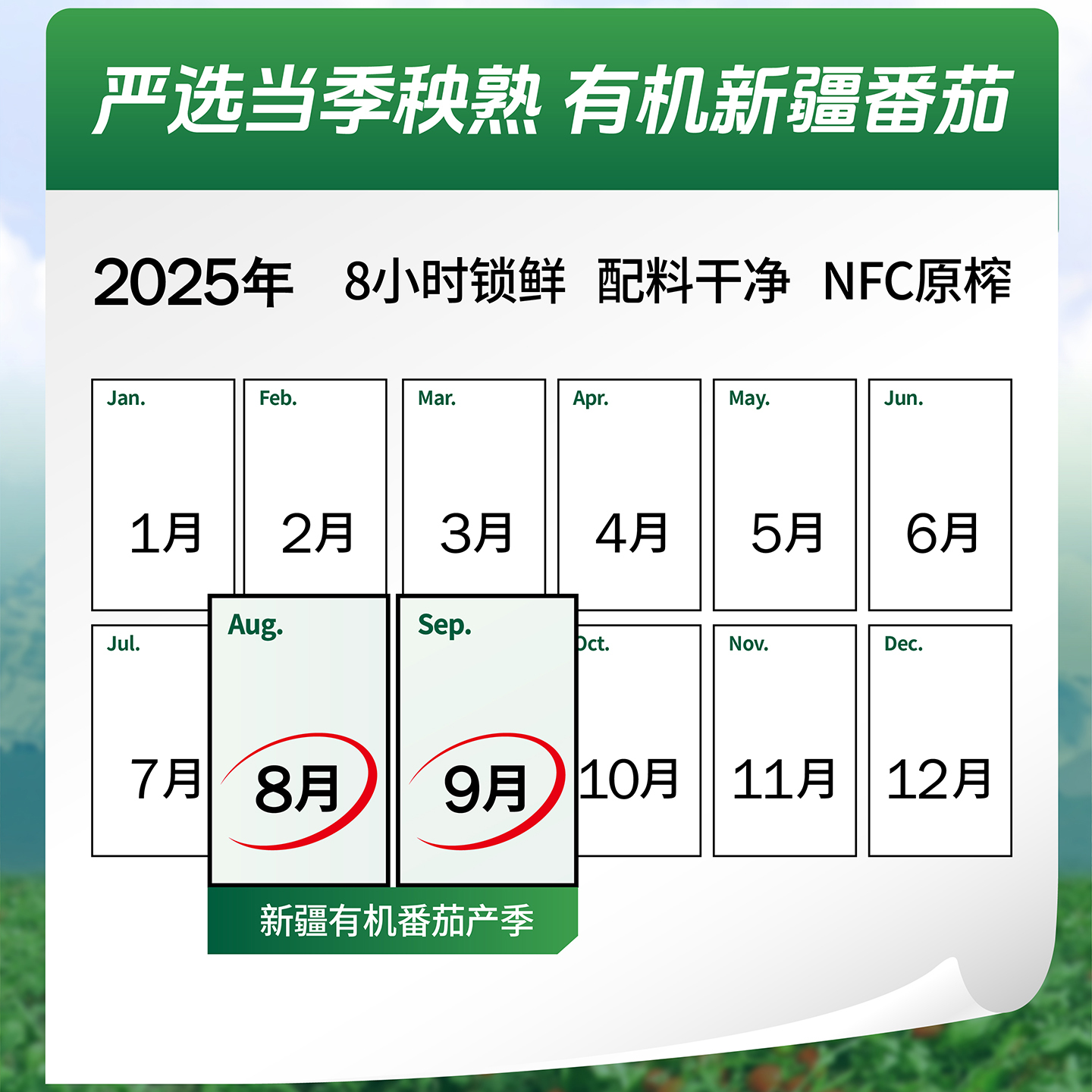 番时番新疆有机番茄汁NFC纯鲜果蔬汁0脂无添加蔗糖多番茄红素310*9罐高清大图