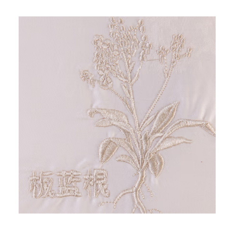 顶瓜瓜健康枕板蓝根枕DGGZ1009