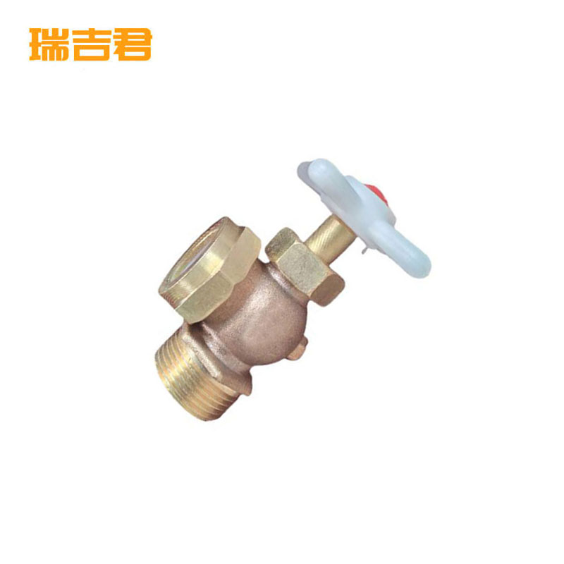 瑞吉君 考克 DN20 对高清大图