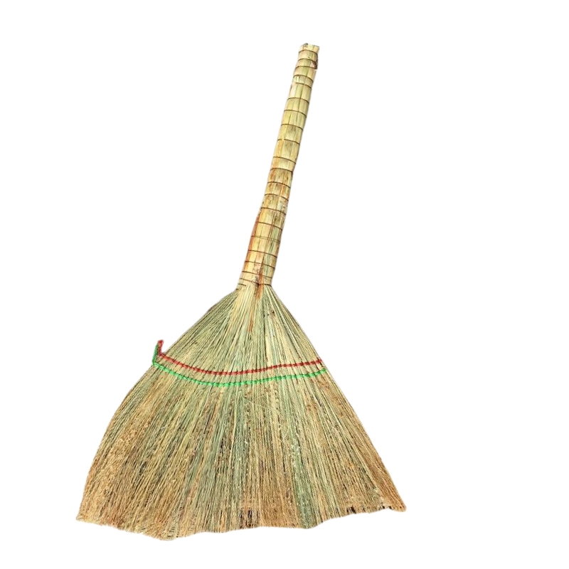 瑞季勤 小扫帚 金丝苗 把