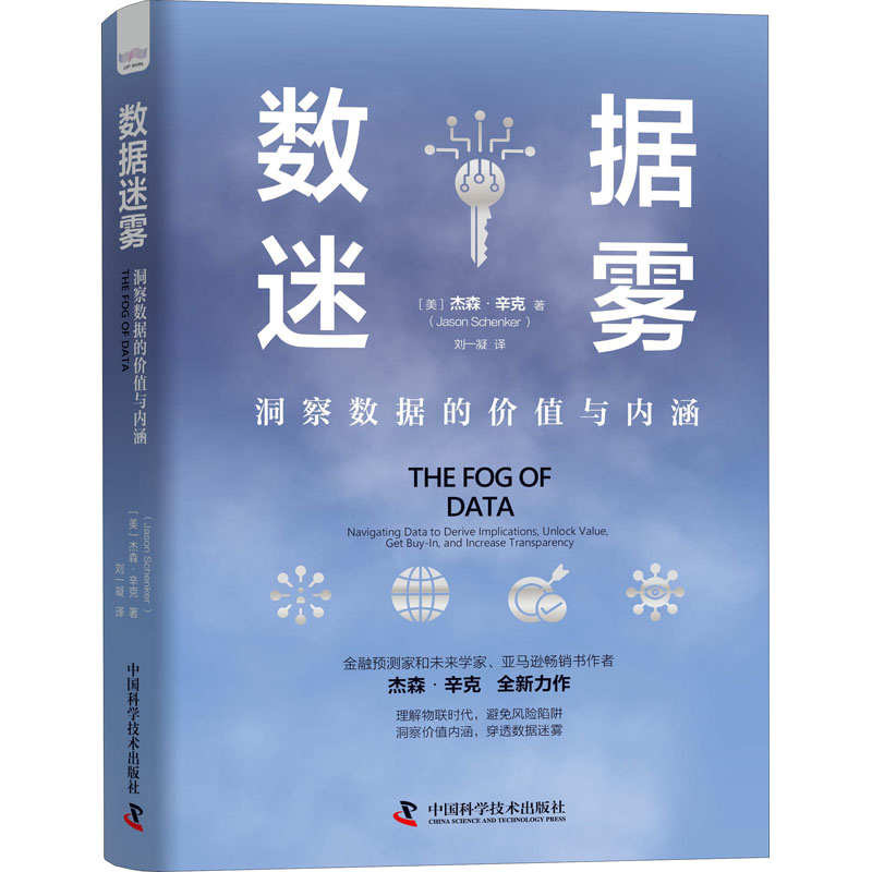 正版新书】数据迷雾 洞察数据的价值与内涵(美)杰森·辛克97875046