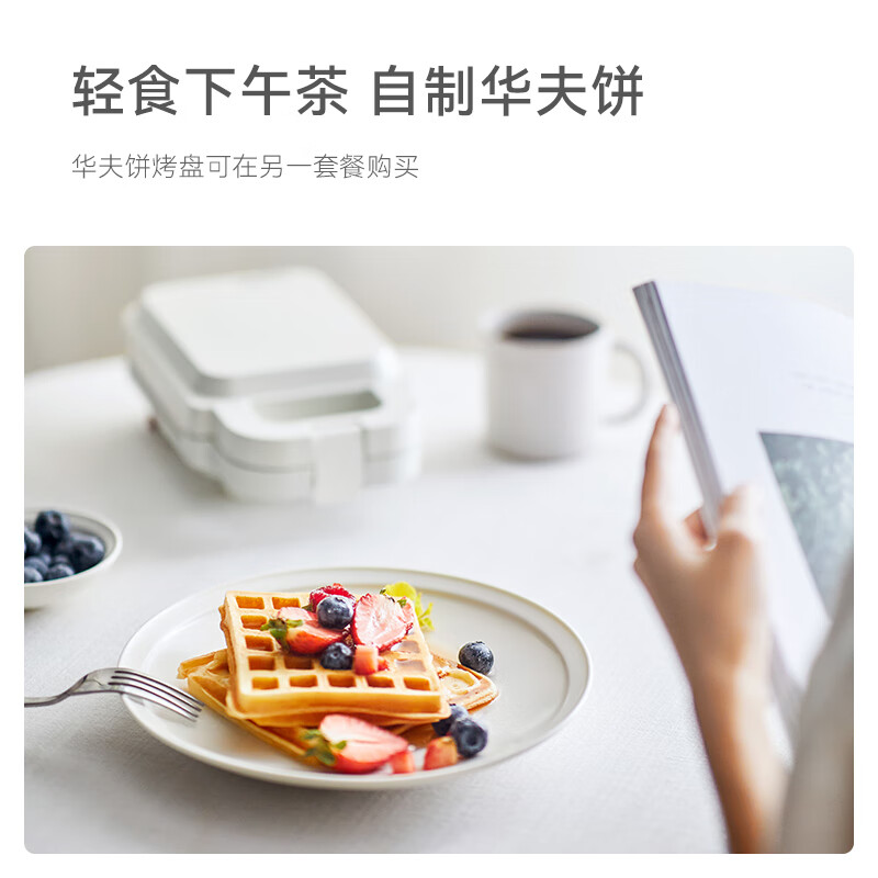 欧莱克OLAYKS 三明治机加华夫饼盘 OLK-D1902 -ZCJ00202高清大图