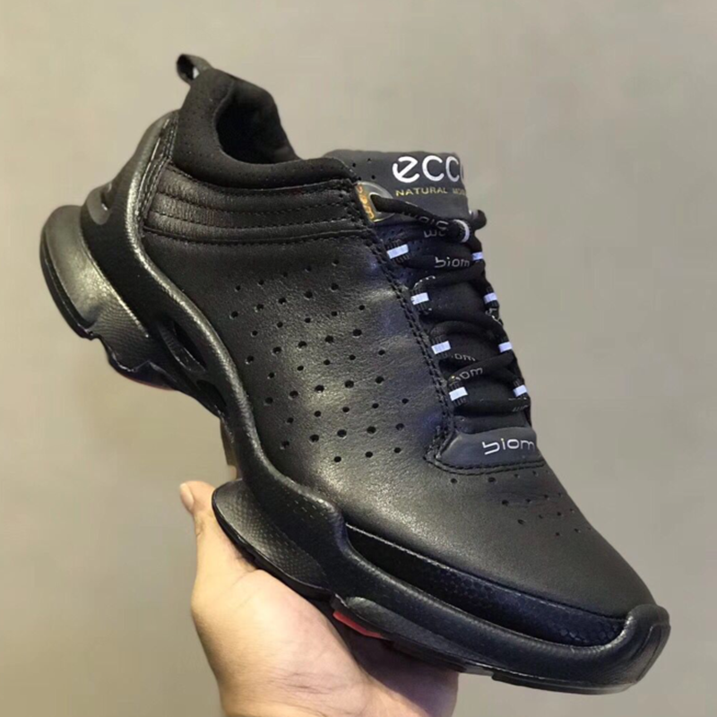 ecco 091504