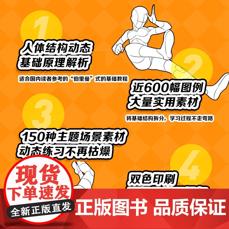 [单人篇]动态集 二次元动漫人体素材 动漫人体结构动态临摹练习册漫画人物绘画形体构造临摹画册漫画手绘本描摹本高清大图