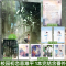 新书 蝴蝶山 [正版]图书 再读来信/见春天/我只看他一眼 成泊 十清杳 枝玖 青春文学校园爱情be文伤感暗恋文言情小说