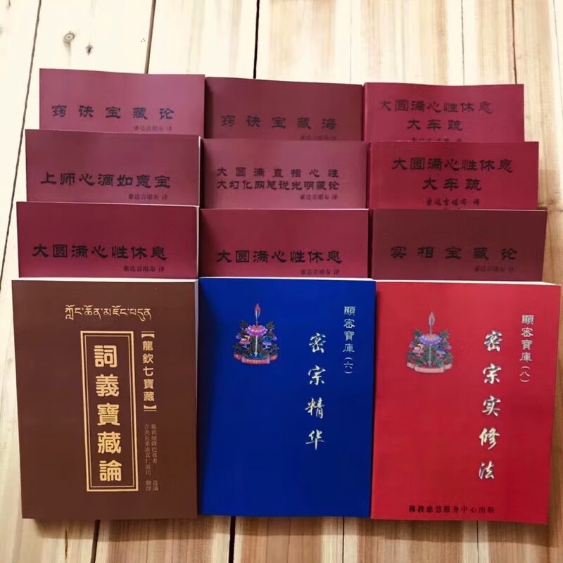 密宗实修法+大圆满直指心性 索师系列12册(印刷流通本)已绝版高清大图
