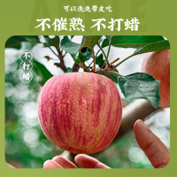 苏选【苏宁自主品牌】烟台栖霞红富士苹果 5斤装（75-80mm）