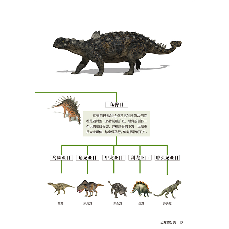 正版新书]恐龙图鉴赵文斌 主编 凤凰含章出品9787553756097高清大图