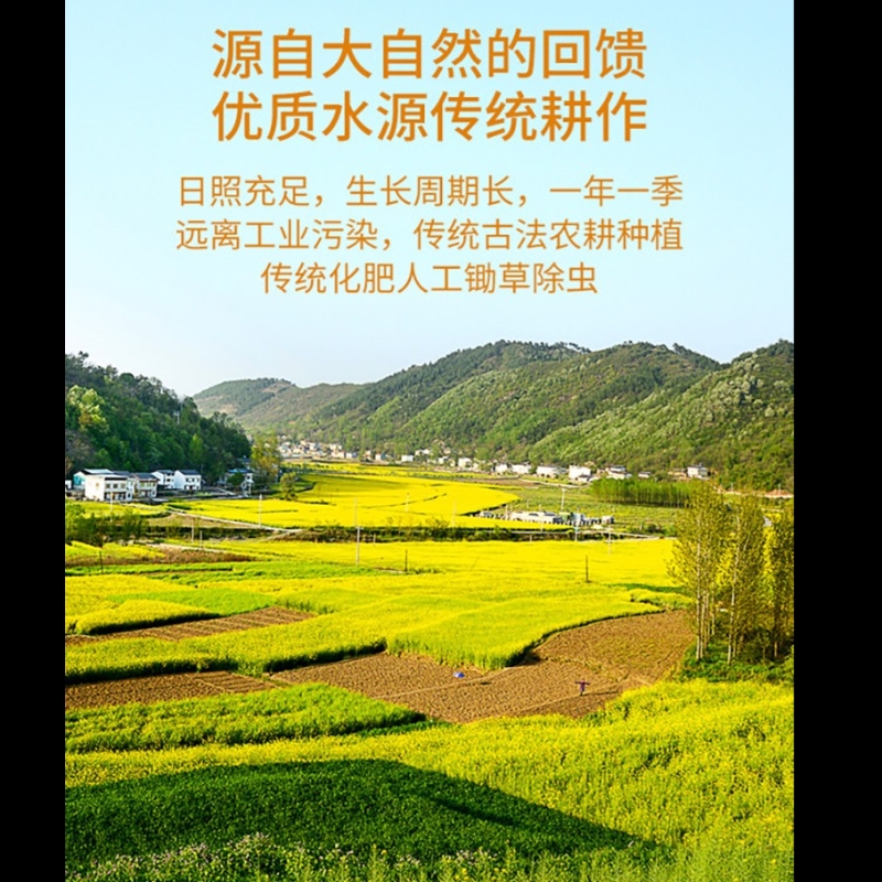 万年贡丝源井冈米 优选丝苗米 新米南方大米 5kg 1袋高清大图