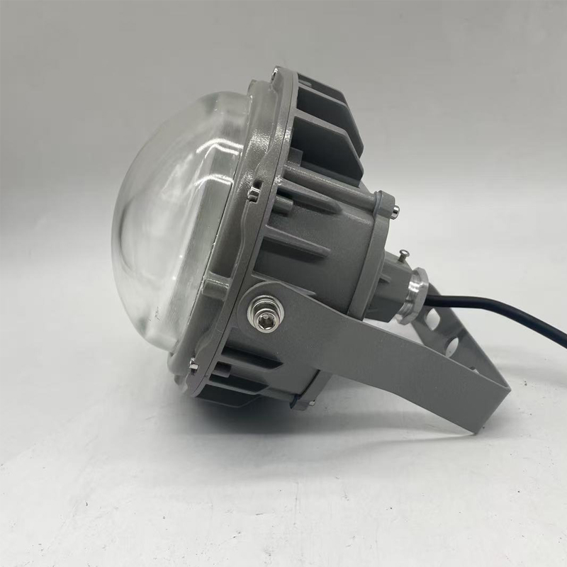 驰洛科 CLSF50-100TB 220V 100W IP65 三防灯 (计价单位:个) 银灰色高清大图