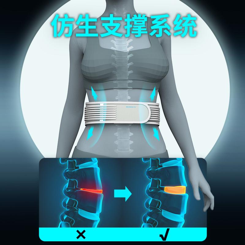 和正 护腰带 家用父母轻薄透气办公室男女士久坐腰部支撑 运动健身腰带 节日礼物送父母女朋友 专业护腰 HZ-Y10一只装