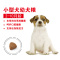 皇家(royal canin) 狗粮 小型犬 幼犬狗粮 MIJ31 0.8kg 贵宾泰迪比熊 幼犬粮