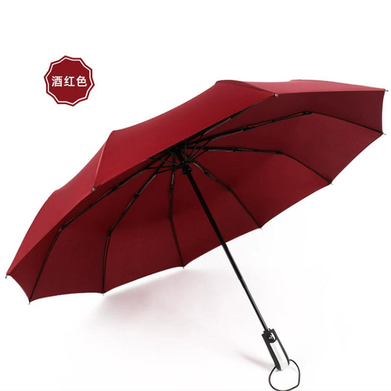 BRO.INHERIT 自动折叠伞 折叠伸缩伞 BRO-YS10-1高清大图