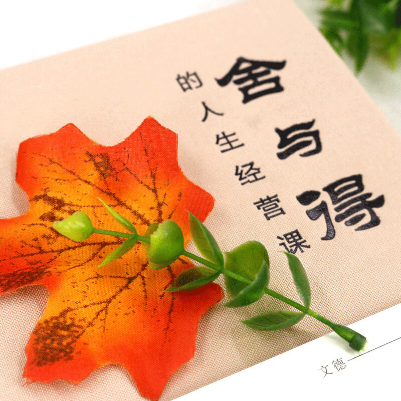 [正版]舍与得的人生经营课(全新升级版)(新版) 文德著 北京联合出版社 修身养性哲学与人生 淡定的意志力自控力自制力