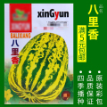 蔬菜种子四季播盆栽阳台庭院辣椒番茄甜瓜黄瓜简单秋易种籽孑大全 均码 八里香甜瓜约50粒