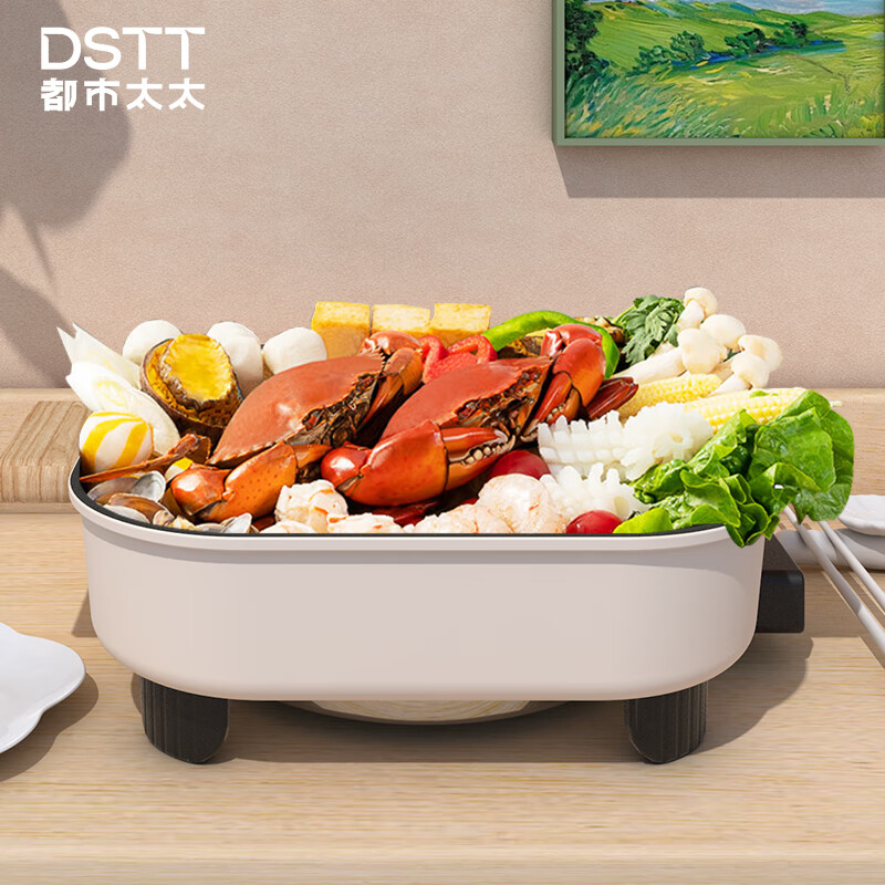 都市太太 DSDRG-8831 聚悦 · 多功能电热锅 家用大容量电热锅 白色 5L
