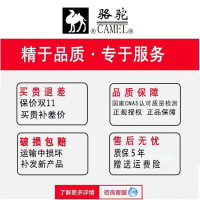 骆驼水暖毯水暖电热毯水循环调温大安全水电褥子床垫家用 双人遥控款200*180