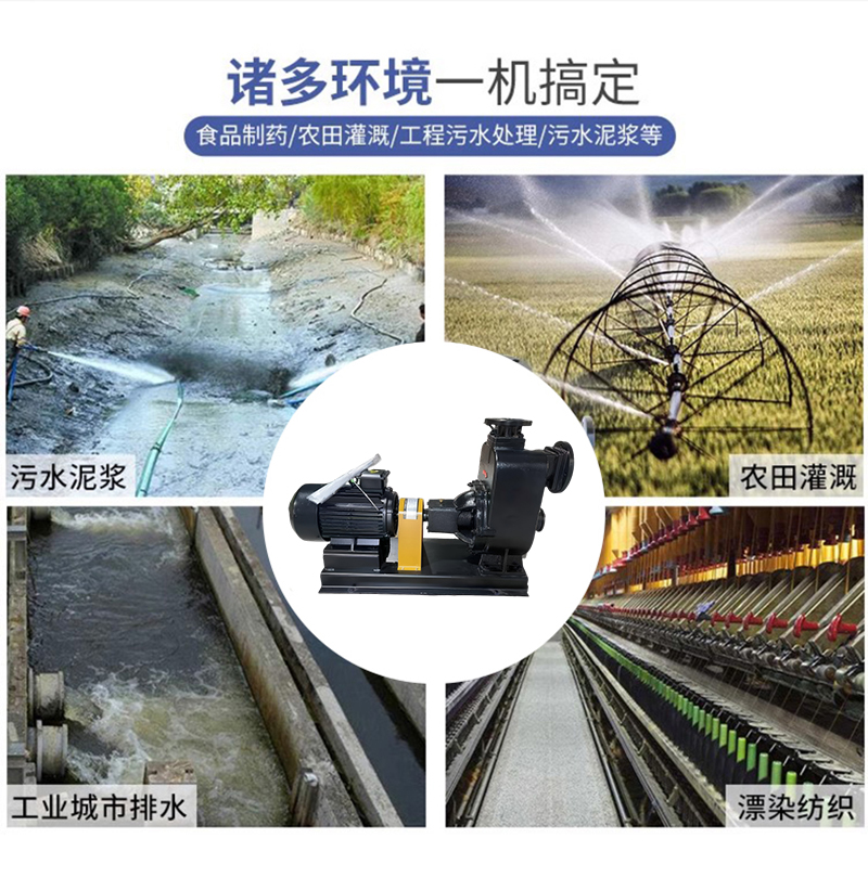 亮刃 自吸泵 100LRZXB80-20-7.5kw 台高清大图