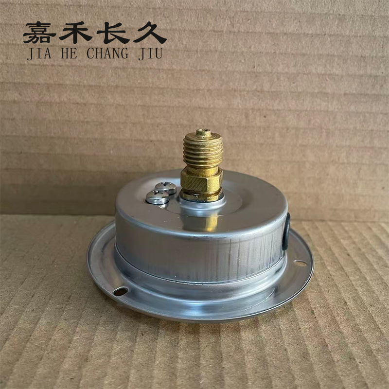 嘉禾长久 耐震压力表轴向带边(带辽宁省级检定证书)YTN60ZT 块高清大图