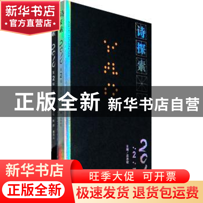 正版 诗探索:2010年第二辑 林莽,潘洗尘主编 九州出版社 9787510