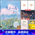 【正版】随机特签版+海报+藏书票楚天以南 大风不是木偶 新增番外 长佩青春励志小说+番报