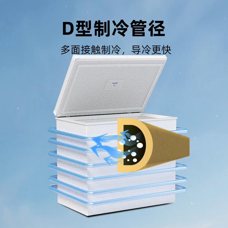 星星冰柜家用小型冷藏冷冻两用商用冷冻柜大容量减霜节能冷冻柜BD/BC-145DE高清大图