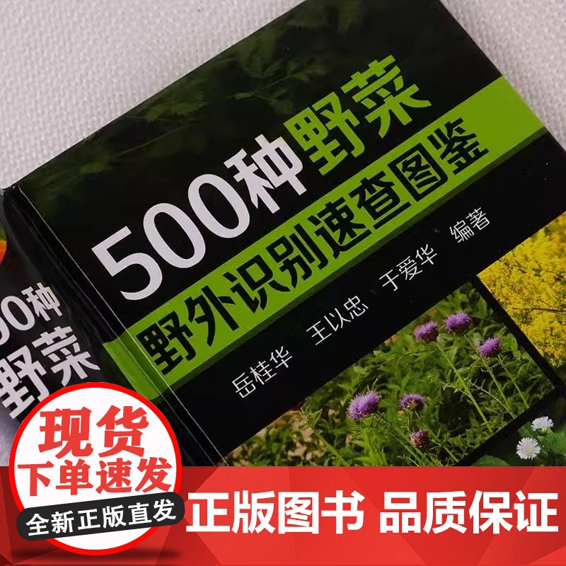500种野菜野外识别速查图鉴 野菜识别特征实用方法 中医草药材识别图大全 生活常识中草药有毒植物识别图集 自然科学植物学高清大图