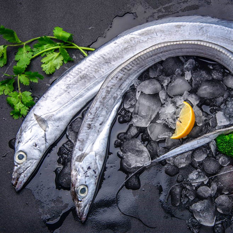 [舟山海钓带鱼3斤]东海小眼油带鱼整条刀鱼新鲜非冷冻 [网捕]舟山小眼