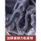 美帮汇加厚夹棉床笠单件床罩防滑固定床垫保护套防尘罩2023年新款 豆沙 180cmx200cm+同款枕套一对