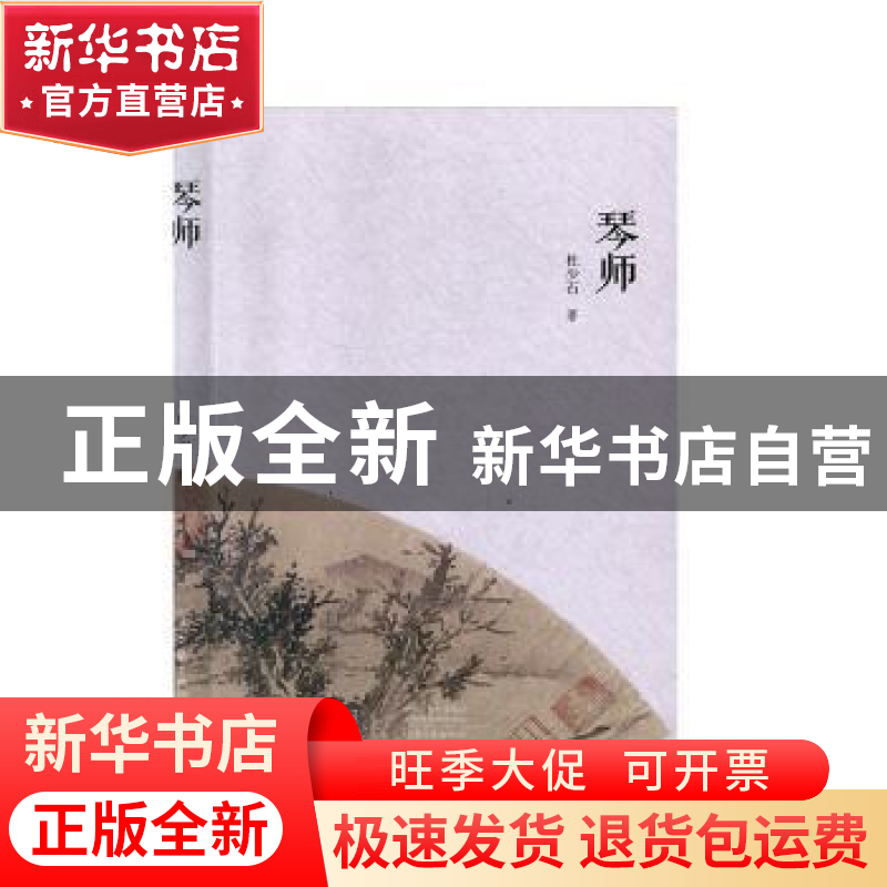 正版 琴师 杜少石著 河南文艺出版社 9787555909569 书籍高清大图