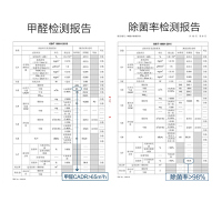 飞利浦(Philips) AC4074家用室内除甲醛空气净化器办公室氧吧去PM2.5除雾霾