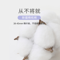 Bonnie&Toni袜子女款船袜纯棉防滑不掉跟2025新款浅口隐形夏季薄款短袜