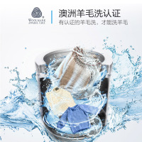 小天鹅（LittleSwan）波轮洗衣机全自动 十公斤直驱变频 喷瀑洗涤去污无残留 TB100S28DMG