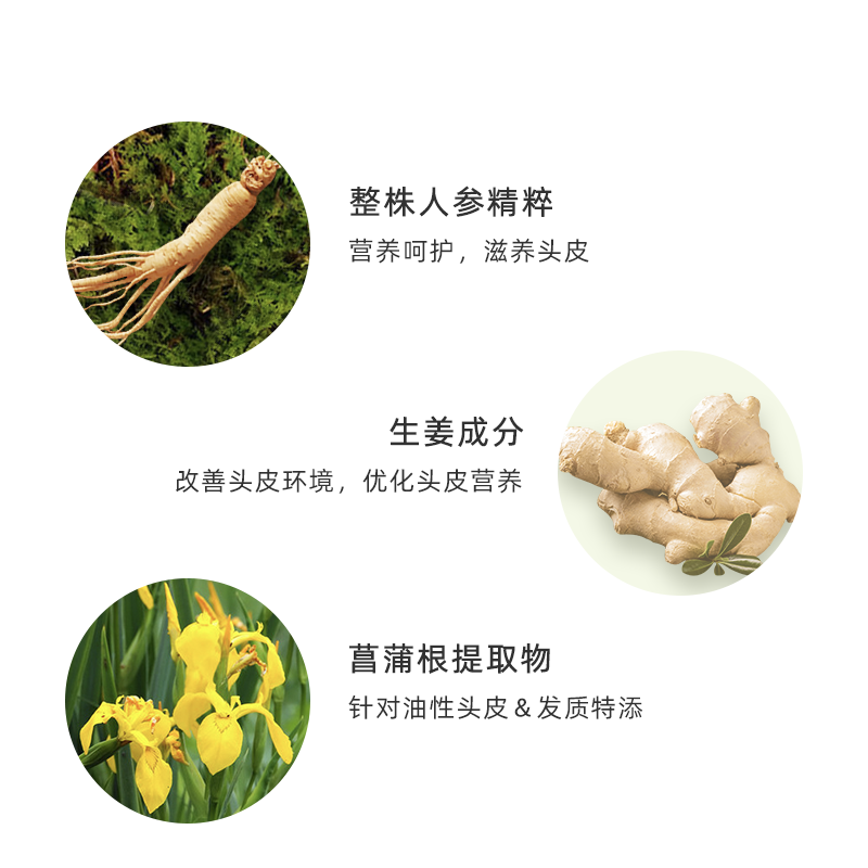 吕(Ryo)紫吕洗发水护发素套装 400ml*2 控油蓬松强韧防断发[油头专研]高清大图