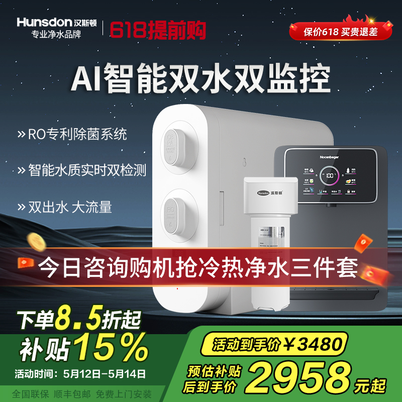 汉斯顿净水器家用直饮厨房无桶大流量500G双出水净水机ro纯水C2