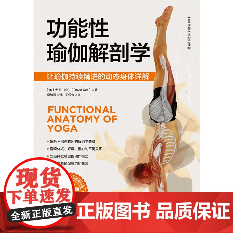 功能性瑜伽解剖学 瑜伽 解剖 体式 康复 运动 损伤 北京科学技术出版社高清大图