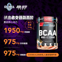EB健型EVERBUILD 伏击者bcaa粉支链氨基酸男女健身增健肌补剂支链氨肌酸300g凤梨椰子味