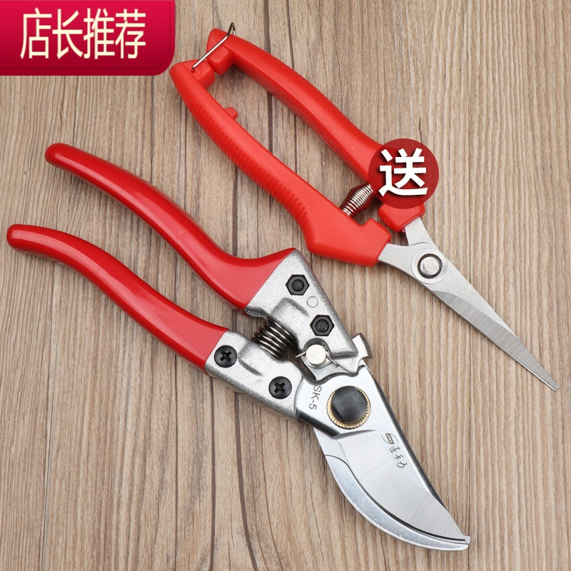 合金修枝剪果树剪刀园艺剪子苹果树剪强力枝剪高碳钢果枝剪梨树剪jing