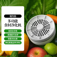 蓝朗果蔬清洗机食材净化机家园水果洗菜无线去农药残留 活力白