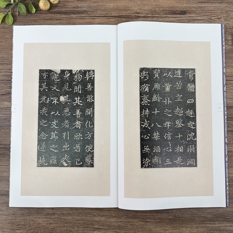 [正版]中国碑帖集珍 孙辽浮图铭 原色原大临摹范本中国唐代古典碑帖毛笔书法爱好入门初学者临摹鉴赏收藏教程字帖作品 旗舰高清大图