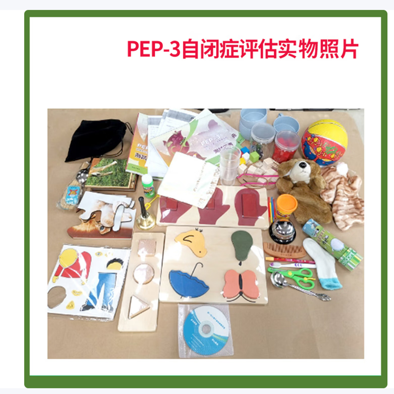 有树 YSXL-PEP3 pep-3自闭症儿童评估减压工具箱专业早教教具高清大图