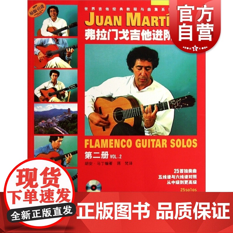 弗拉门戈吉他进阶曲集(第二册)(附CD.DVD各一张)(附音视频)高清大图