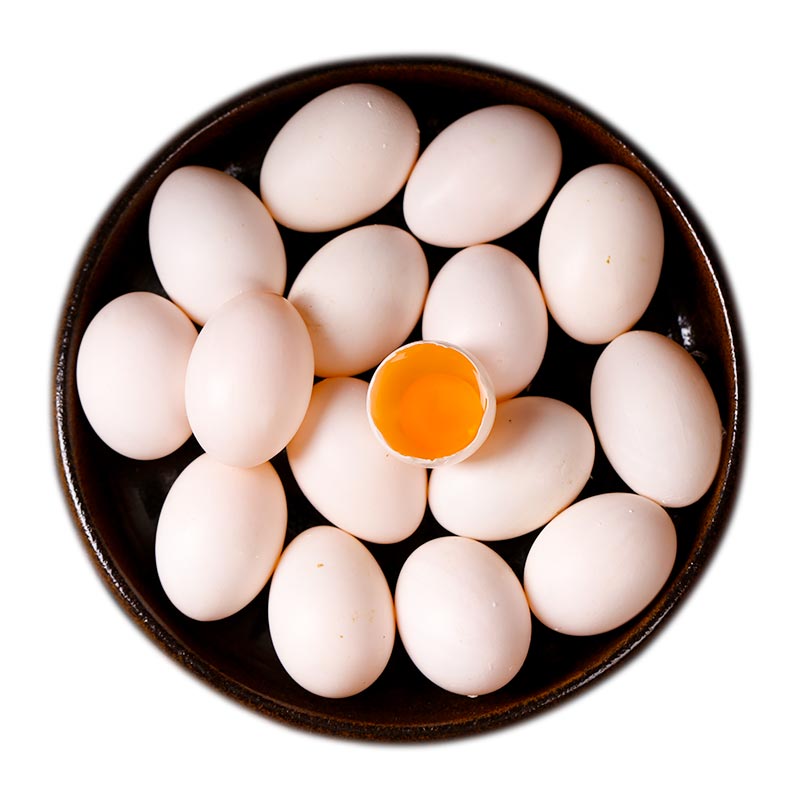 新鲜鸽子蛋20枚装非鸡蛋散养鸽蛋信鸽蛋孕婴营养辅食