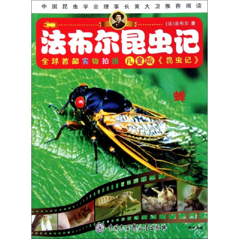 正版新书]蝉(儿童版)/法布尔昆虫记(法)法布尔|改编:杨坤9787500高清大图