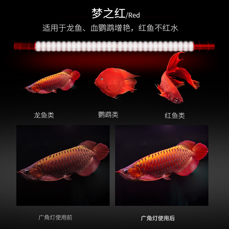 广角鱼缸潜水灯led水族灯增艳防水照明灯锦鲤鹦鹉鱼龙鱼灯高清大图