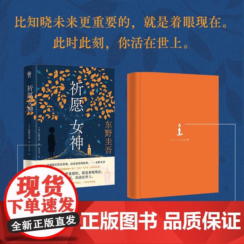 [首刷限量赠印签+随机款藏书票+金句透卡]祈愿女神 东野圭吾著 白夜行 祈愿系列第二部 新书高清大图