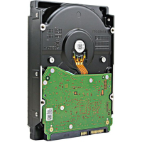 西部数据（Western Digital）10TB HC510 (大数据存储中心｜氦气密封｜250万小时/MTBF｜五年质保)HUH721010ALE600