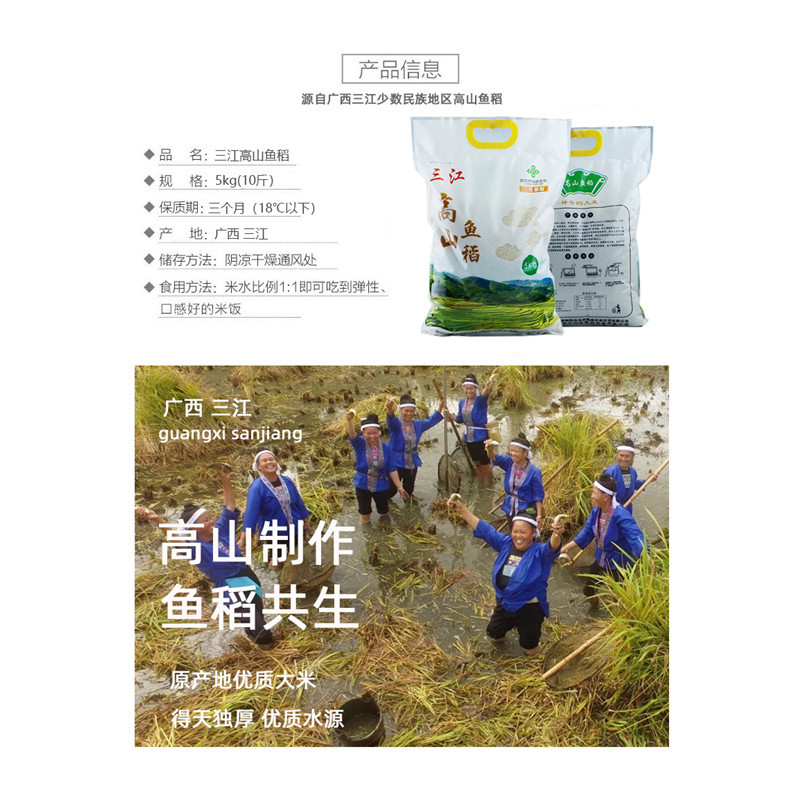 广西三江特产高山鱼稻绿色大米5kg/袋